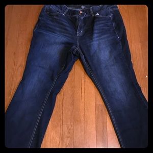 Lane Bryant bootcut with Tighter Tummy Technology